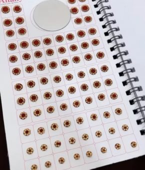 Multi Stone Bindi's Book (960 Bindis in Book)
